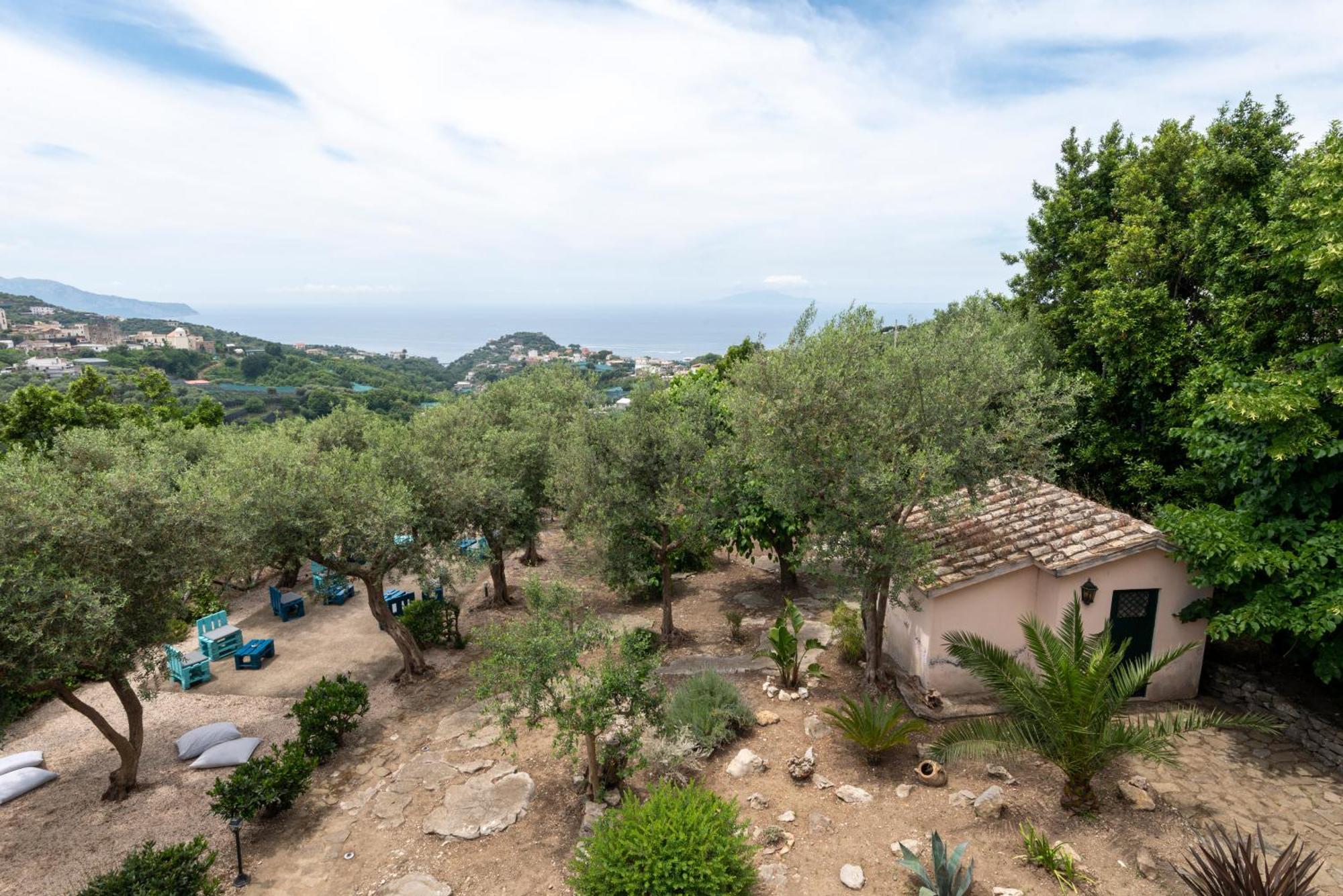 Villa Il Turro Massa Lubrense Exterior foto